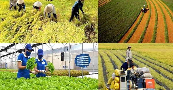 Agricultural sector aims for US$25 billion in FDI by 2030